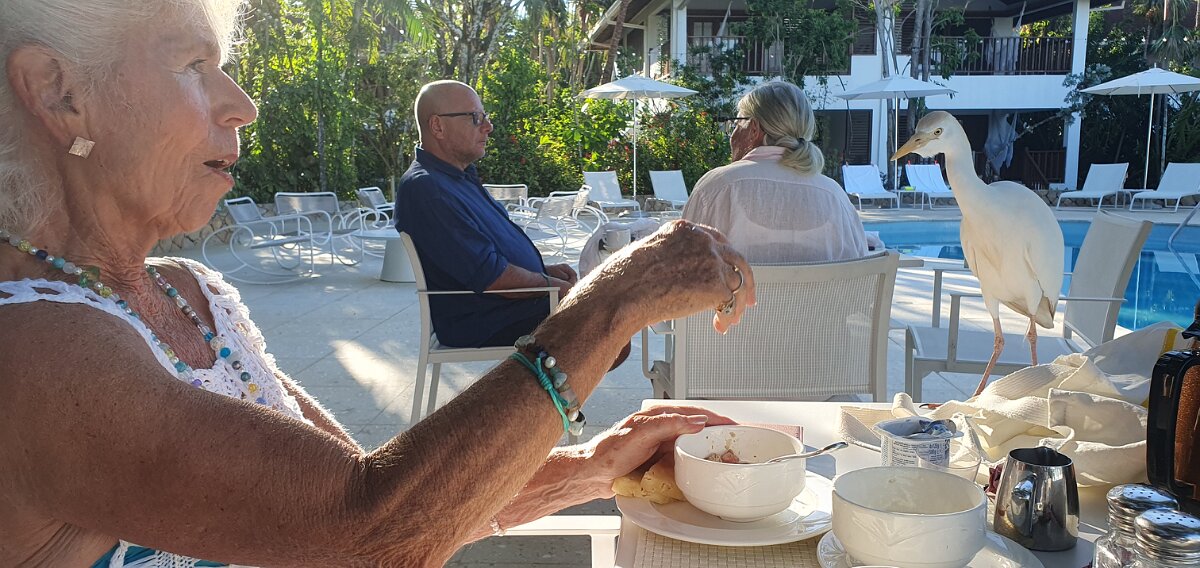 He will take food off your plate