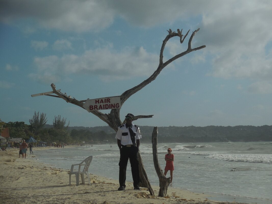 An old tree, now deceased